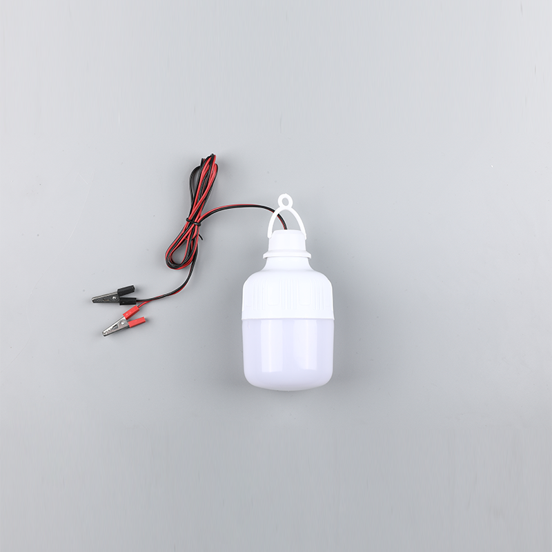 Led žárovka-dc12v 24v