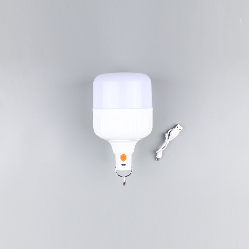Led žárovka-DC 12V 24V